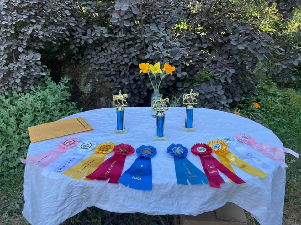 Show ribbons earned by Team Rosebud